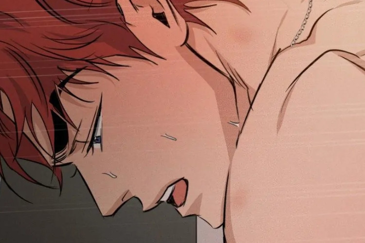 Manhwa High Clear Tam Bölüm Türkçe Linki Oku: Doğru Kişiye Aşık Olduğunda Ne Olur?