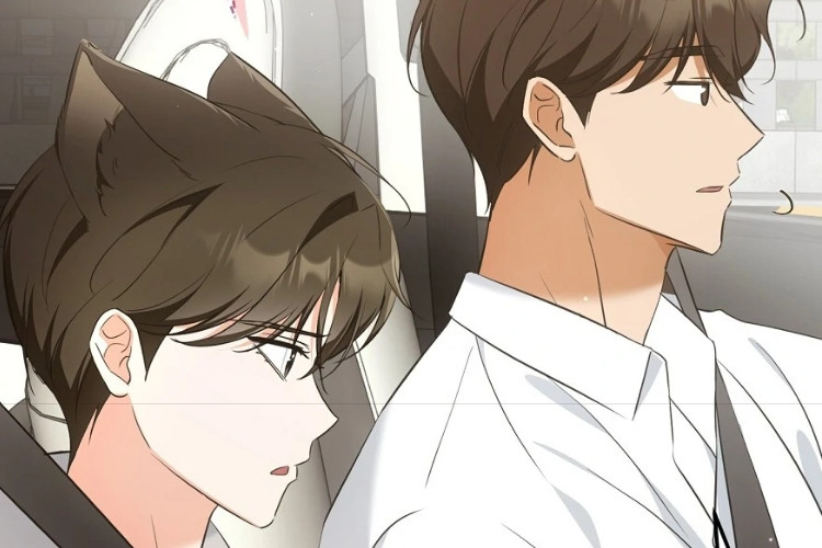 Linki BL Manhwa Cat Therapy (Kitty Therapy) Tam Bölüm Türkçe Yongwoo, Hae Dong Ile Bi̇rli̇kte Yaşiyor