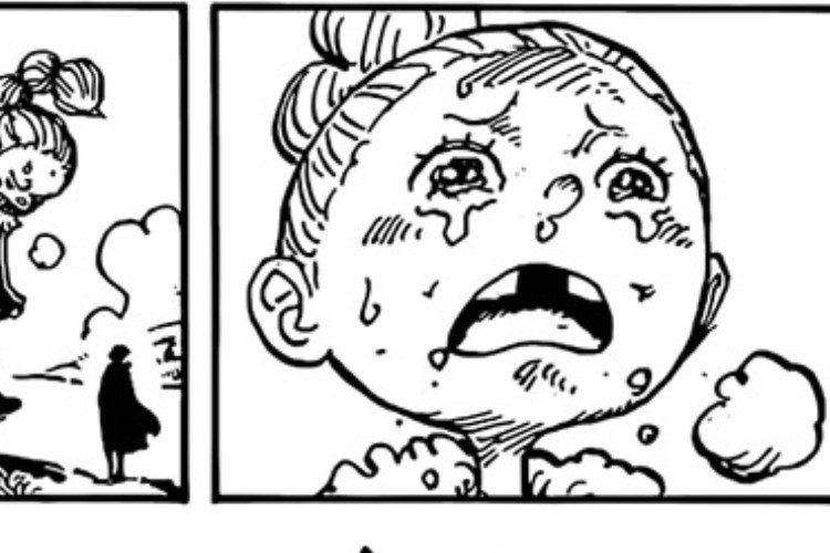 RAW Manga One Piece 1151 Bölüm Türkçe Linki Oku Bu Sefer Olanlar Gerçekten Mantık Dışı