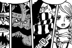 One Piece 1173 Bölüm Türkçe Scan, Mangayı Ücretsiz Okuyun!